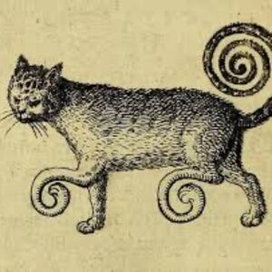 Meet your Posher, Abigail